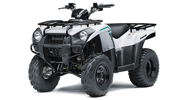 2022-kawasaki-brute-force--300-1