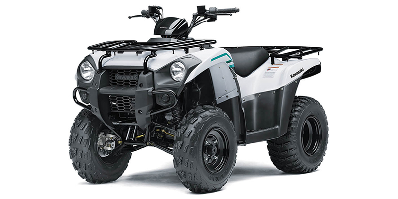 2022-kawasaki-brute-force--300-1