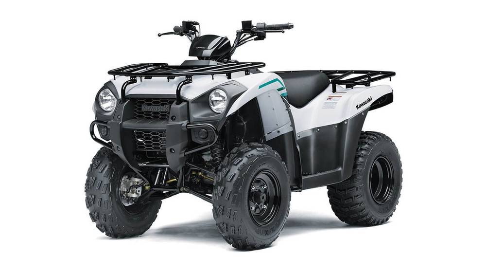 2022-kawasaki-brute-force-300-2.jpg