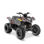 2022-polaris-phoenix--200-1