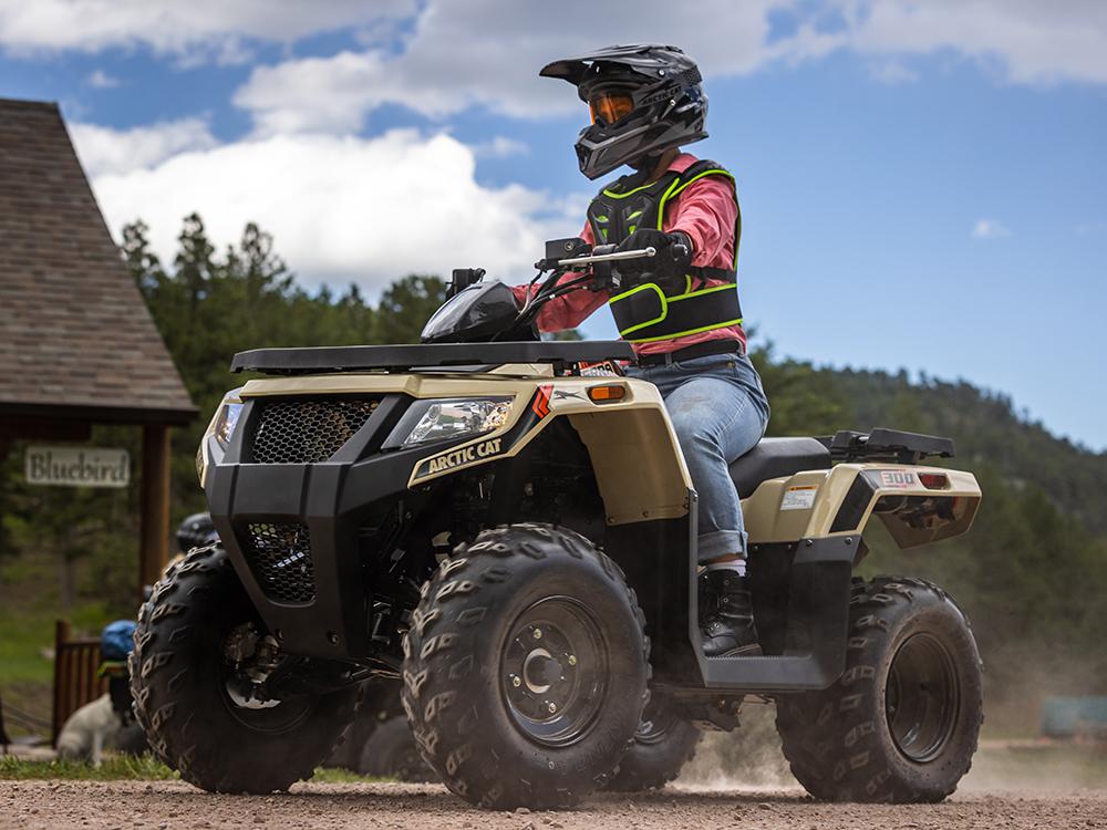 2023-arctic-cat-alterra-300-2x4-2