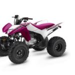 2023-honda-trx--250x-1