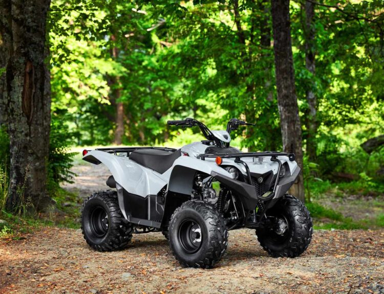 2023-yamaha-grizzly-90-1